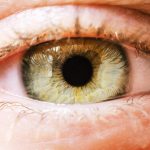 Extreme close up of woman's grenn eye iris. Human eye iris contracting.