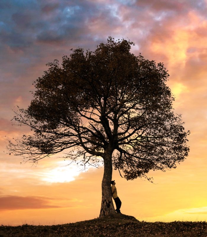Silhouette of tourist under majestic tree at evening mountains meadow at sunset. Dramatic colorful scene with clear orange sky. Landscape photography